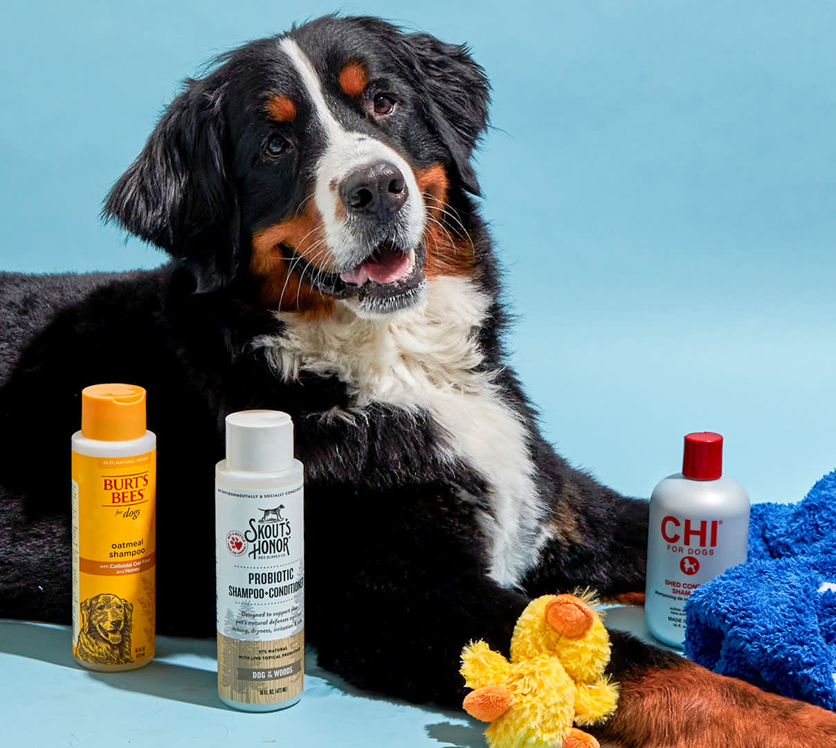 Dog Shampoo
